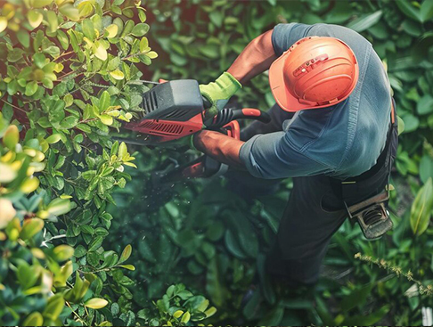 Notes for hedge trimmers